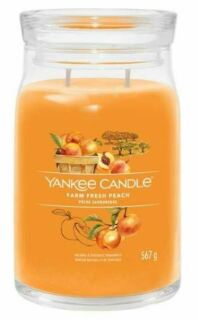 Yankee Candle Signature Farm Fresh Peach vonná svíčka se 2 knoty 567 g