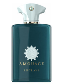 Amouage Enclave Unisex Eau de Parfum 100 ml