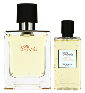 Hermes Terre D'Hermes SET - Eau de Toilette 100 ml + shower gel 80 ml