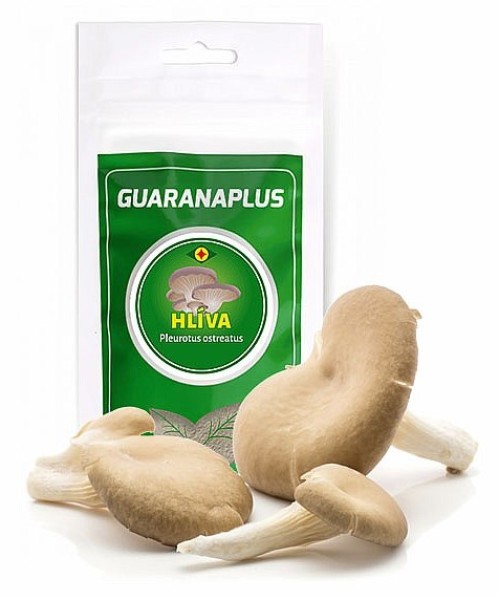 GuaranaPlus Hlíva ústřičná prášek 75 g
